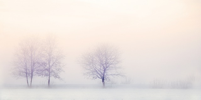 France : Quel est le mois le plus froid de l’année ?