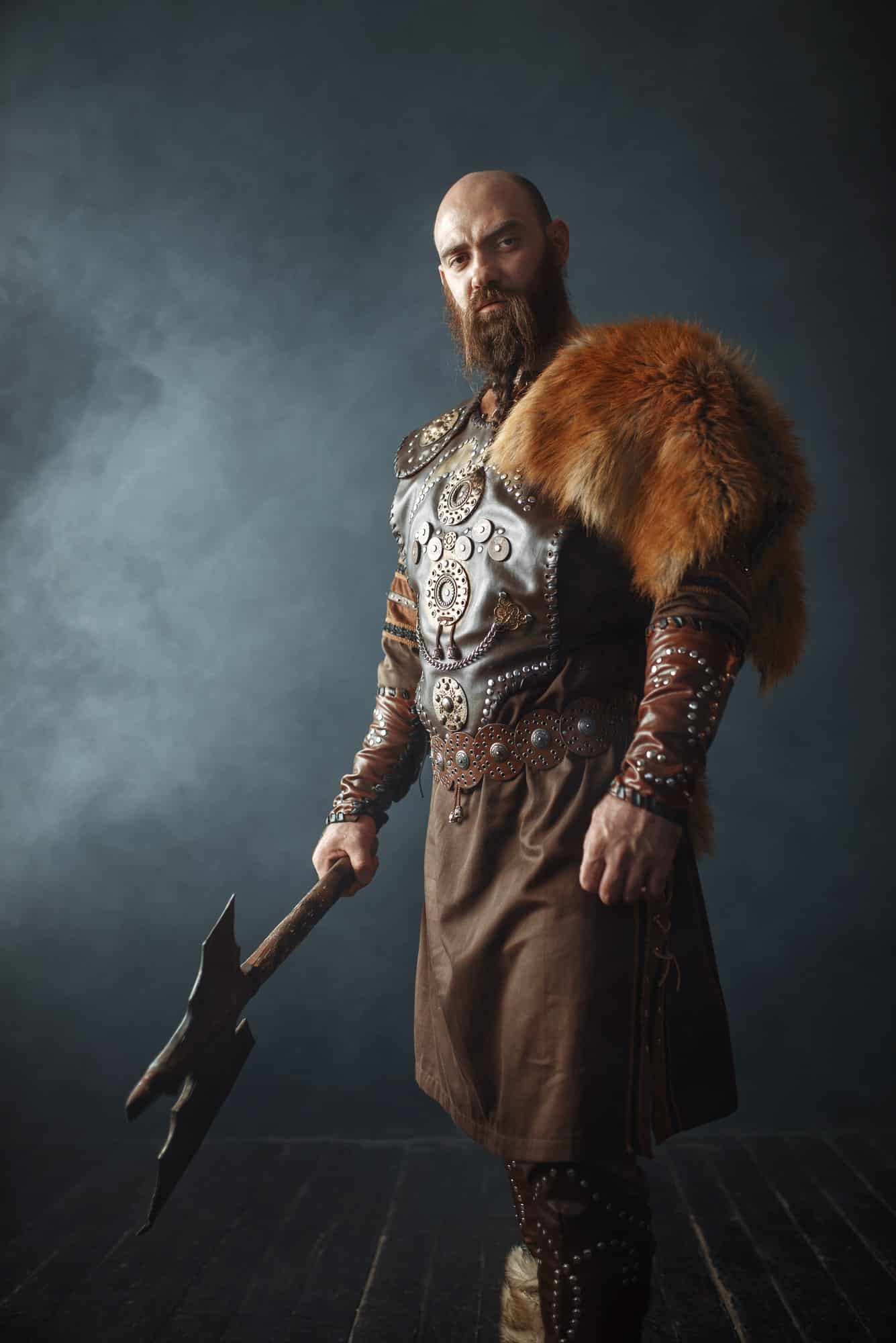 Comment sont les viking ?